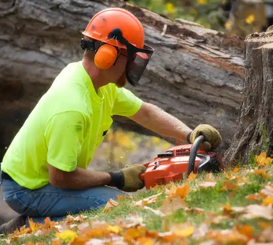 tree services Lexington